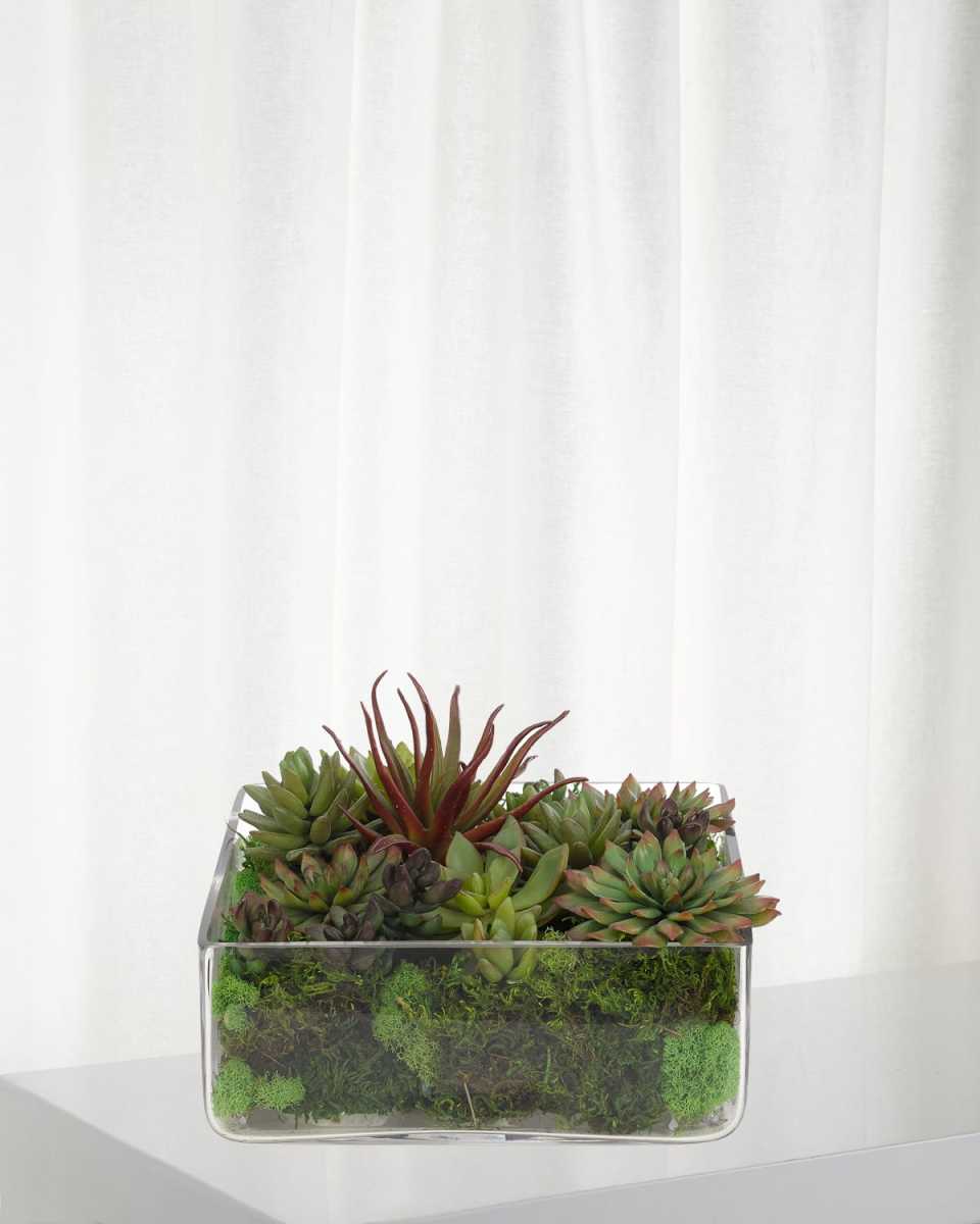 Faux Succulent Plant in Glass Planter